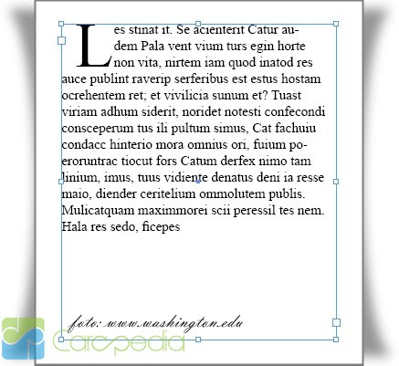 Contoh Naskah Pidato Bahasa Jawa Hari Sumpah Pemuda 