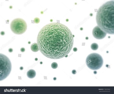 bacteria cells isolated  white background stock