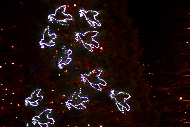LaSalette Shrine MA Christmas