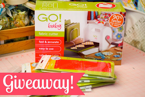 GO! Baby Giveaway & Review! by jenib320