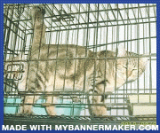 Create your own banner at mybannermaker.com!