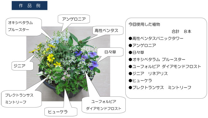 山形県総合運動公園 平成27年度ガーデニング教室 第1回目ペンタスの寄せ植え 実施報告 株式会社モンテディオ山形 指定管理事業 総合運動公園 西蔵王公園 悠創の丘