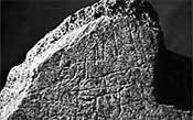 Engraved mastodon bone