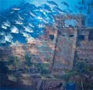 http://www.crystalinks.com/atlantis705.jpg