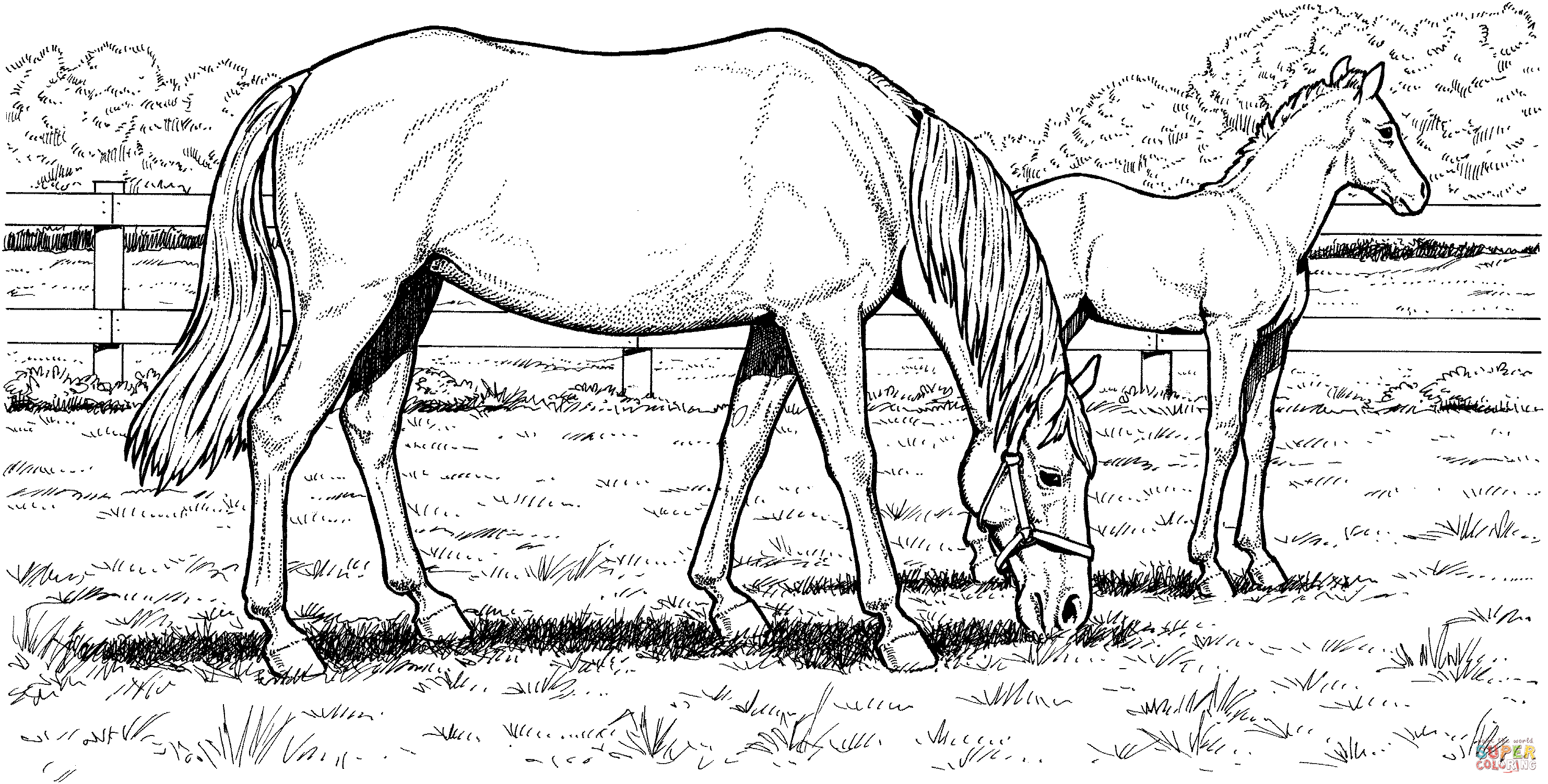 Download Realistic horse coloring pages to download and print for free