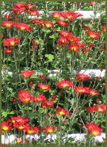 27 red on the fence