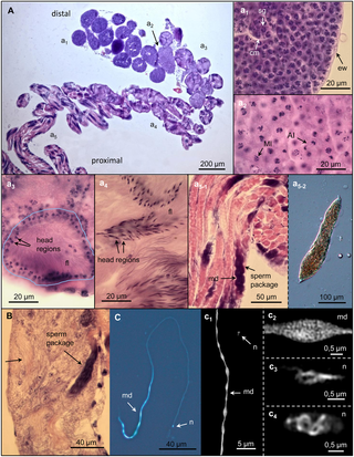 journal.pone.0180492.g003