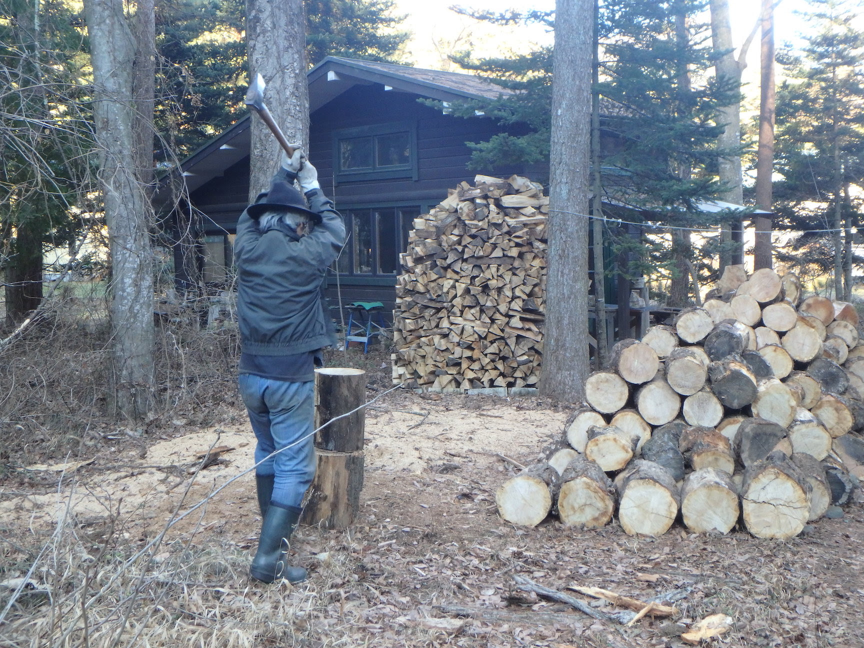 woodcut.jpg