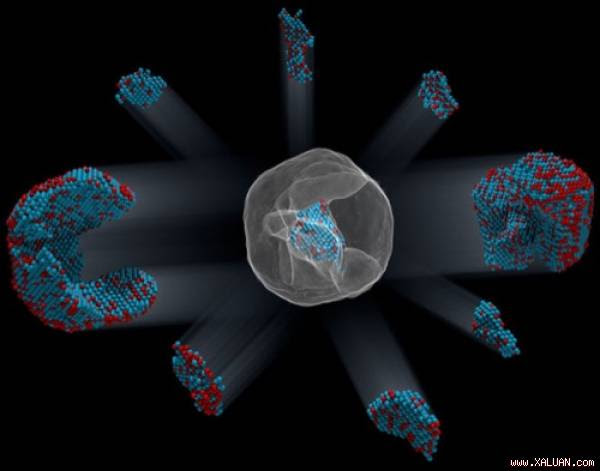 Bản hợp thể 3D của 6,569 nguyên tử sắt và 16,627 nguyên tử bạch kim trong một hạt nano sắt – bạch kim.