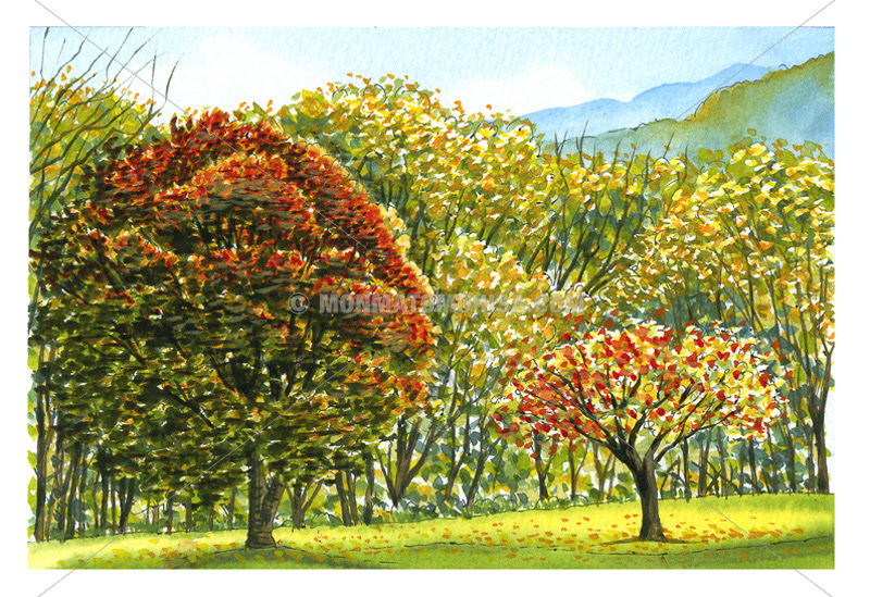 大人の塗り絵 水彩色鉛筆で描く風景スケッチ 門馬 朝久 公式webサイト