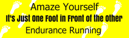 Custom Bumper Stickers