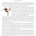 the frozen ocean sixth grade reading worksheets reading comprehension - reading comprehension passages sixth grade reading comprehension | reading comprehension worksheets sixth grade