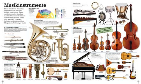 bild der wissenschaft shop bilderpedia ein lexikon