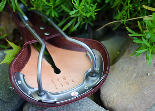 Rivet Pearl Saddle
