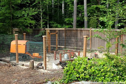 fence style | backyard homestead | Pinterest