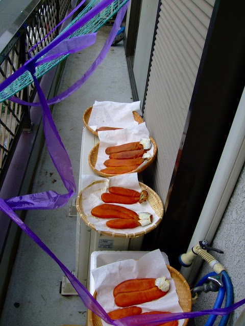 毎日一魚 庄助の昼飯 晩飯備忘録 初めてのカラスミ作り後編