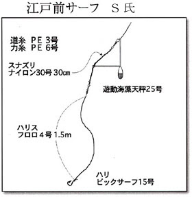 投げ釣り仕掛けマゴチ スズキ 釣り場 静岡県戸田町鳥居前突堤 千葉県富津市新舞子海岸