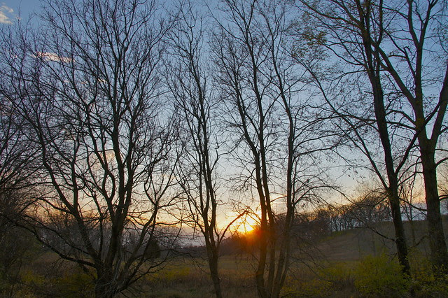 DSC00341