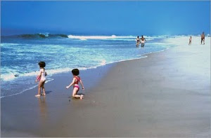 7 Pantai Terindah Di Amerika Serikat.artikel-fenomenal.blogspot.com
