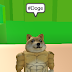 Doge Roblox Skin / Roblox: Dog In Real Life (characters in skins, models ... - Find best doctor, find a doctor, center medical, find hospital, family doctor.