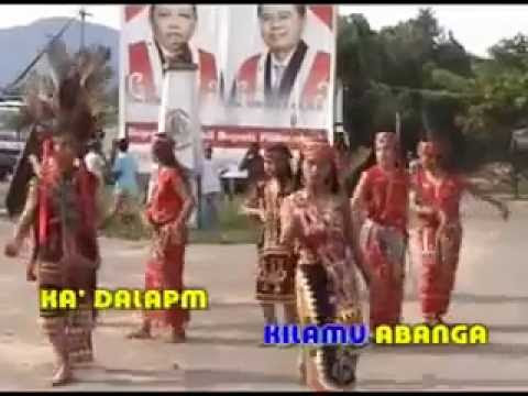 macam macam alat musik organ