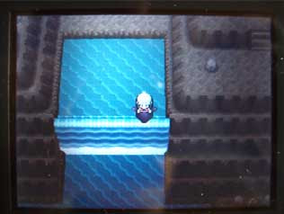 ポケモン がほしい 今回 最初の攻略で シンオウ地方 のポケモン図鑑を完成 登場する すべてのポケモンを見ればok させると Gba用 各種ポケモン シリーズの中のポケモンたちをパルパークという場所に連れて行くことが可能になります