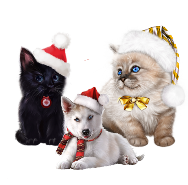 Mes Tubes Chiens Avec Chats Pour Noel