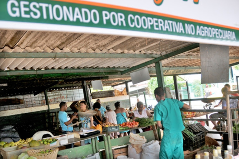  En ascenso cooperativas no agropecuarias en Cuba 