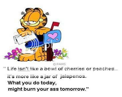 funny pictures jokes. funny gay jokes