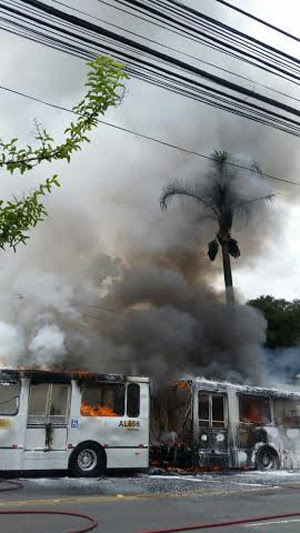 onibus dentro
