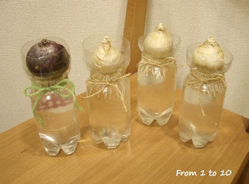 春の仕込み From 1 To 10