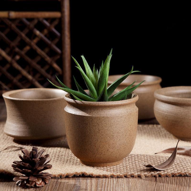 新手养多肉第3课 常见多肉盆器容器的选择 我爱多肉网