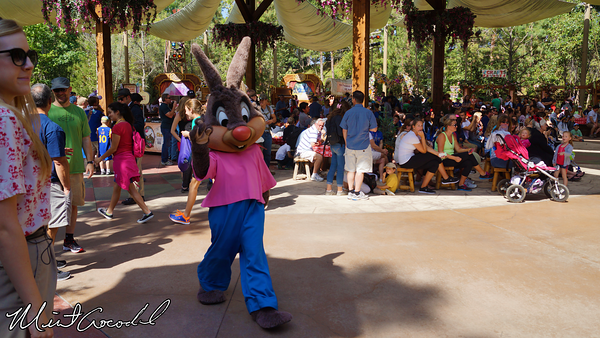 Disneyland Resort, Disneyland, Spring, Springtime Roundup, Easter