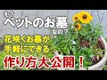 ペット お墓 庭 花 347471