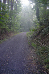 End August 2004 in Maryland }