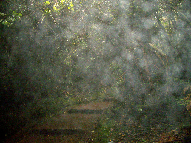 Atmospheric_Pollution_water_droplets