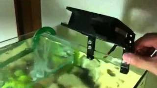自作 冷却ファン 60cm水槽用 Youtube