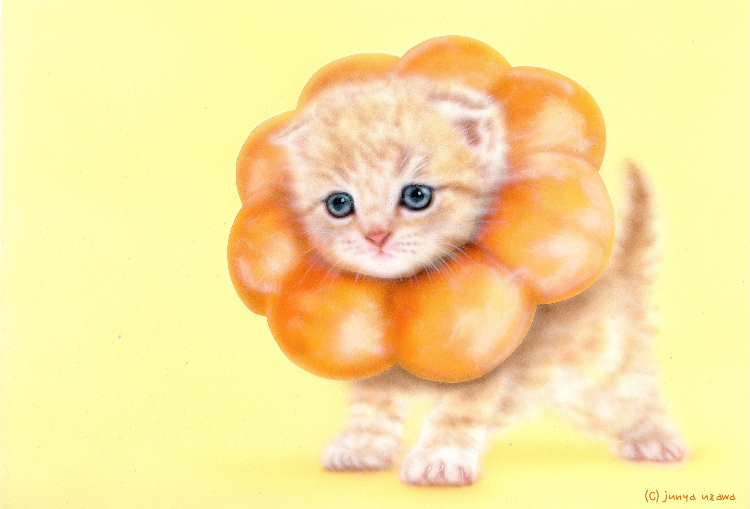 リアリズム絵画 動物の絵 動物イラスト 子猫の絵 萌獣 ポンデニャイオン ポンデにゃんこ ポンデリング猫 Pao De Nyaion