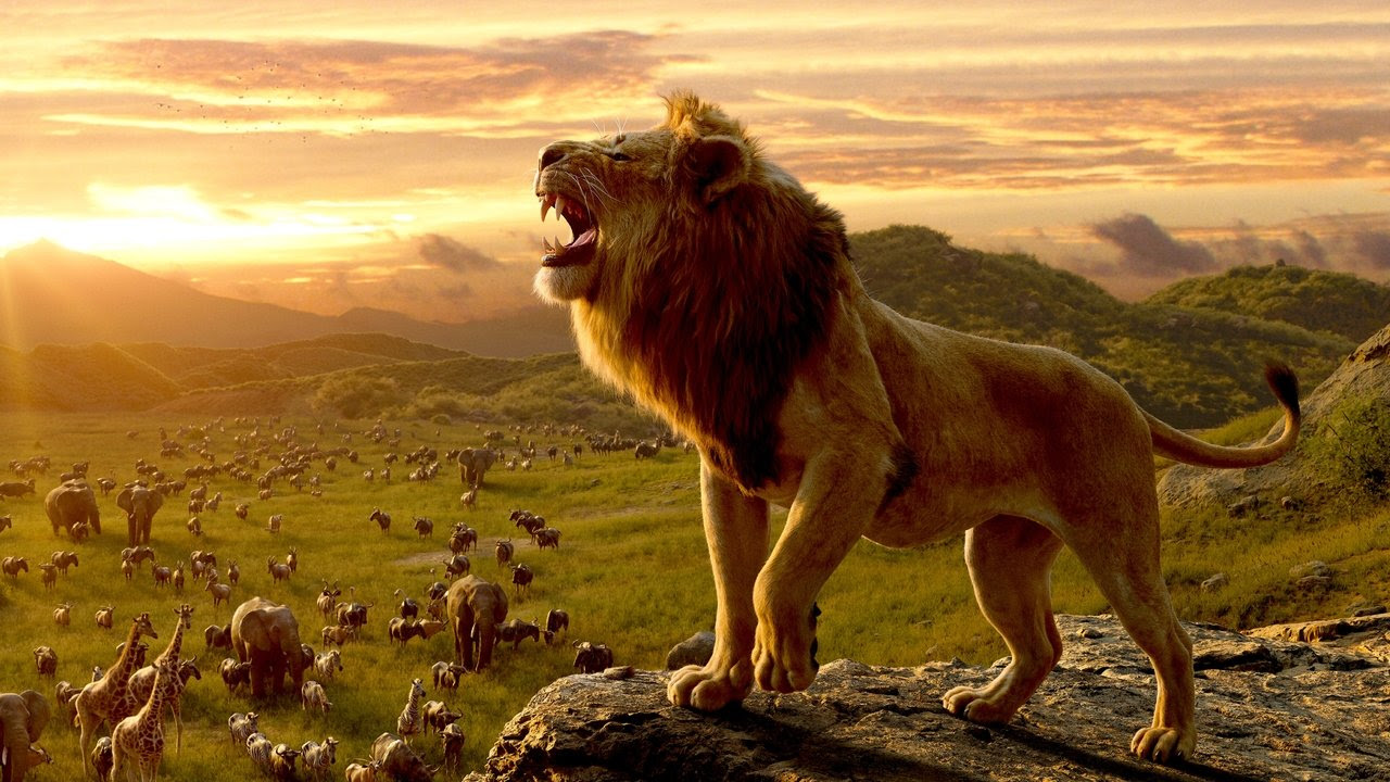 Ver El Rey LeÃ³n Pelicula Completa En Español Latino ...