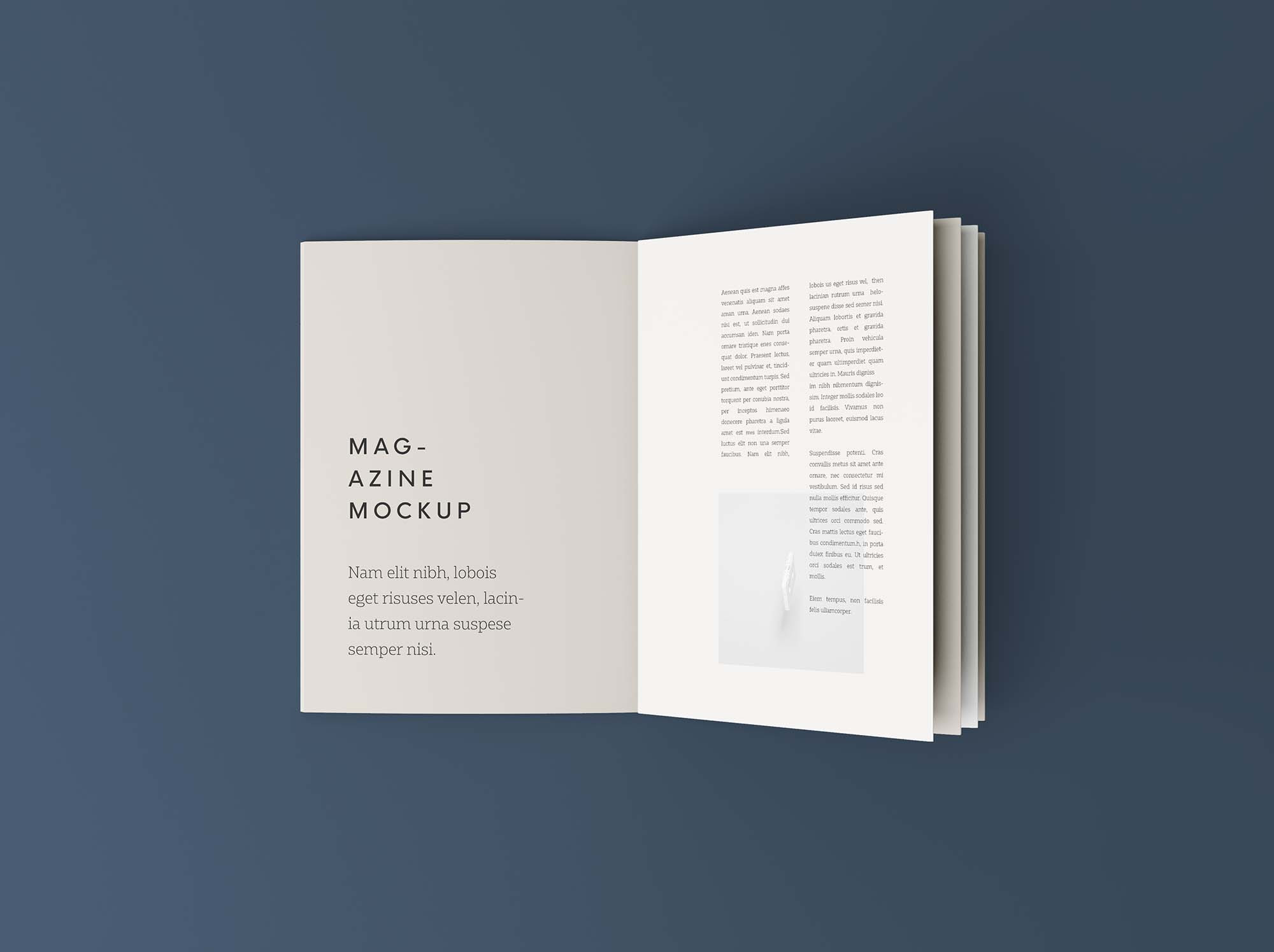 Download Free Overhead Booklet Mockup Psd