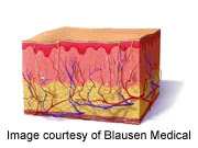 Successfully tested on rats, the lab-grown