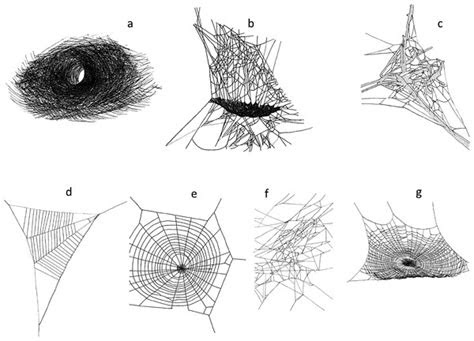 deer herbivory reduces web building spider abundance