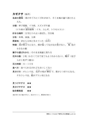 千葉県立中央博物館 ー校庭の野草 雑草を調べようー