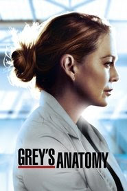 Watch Grey's Anatomy - Season 17 Episode 15 : Tradition HD ...
