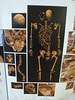 King RICHARD III Open Day Leicester 020