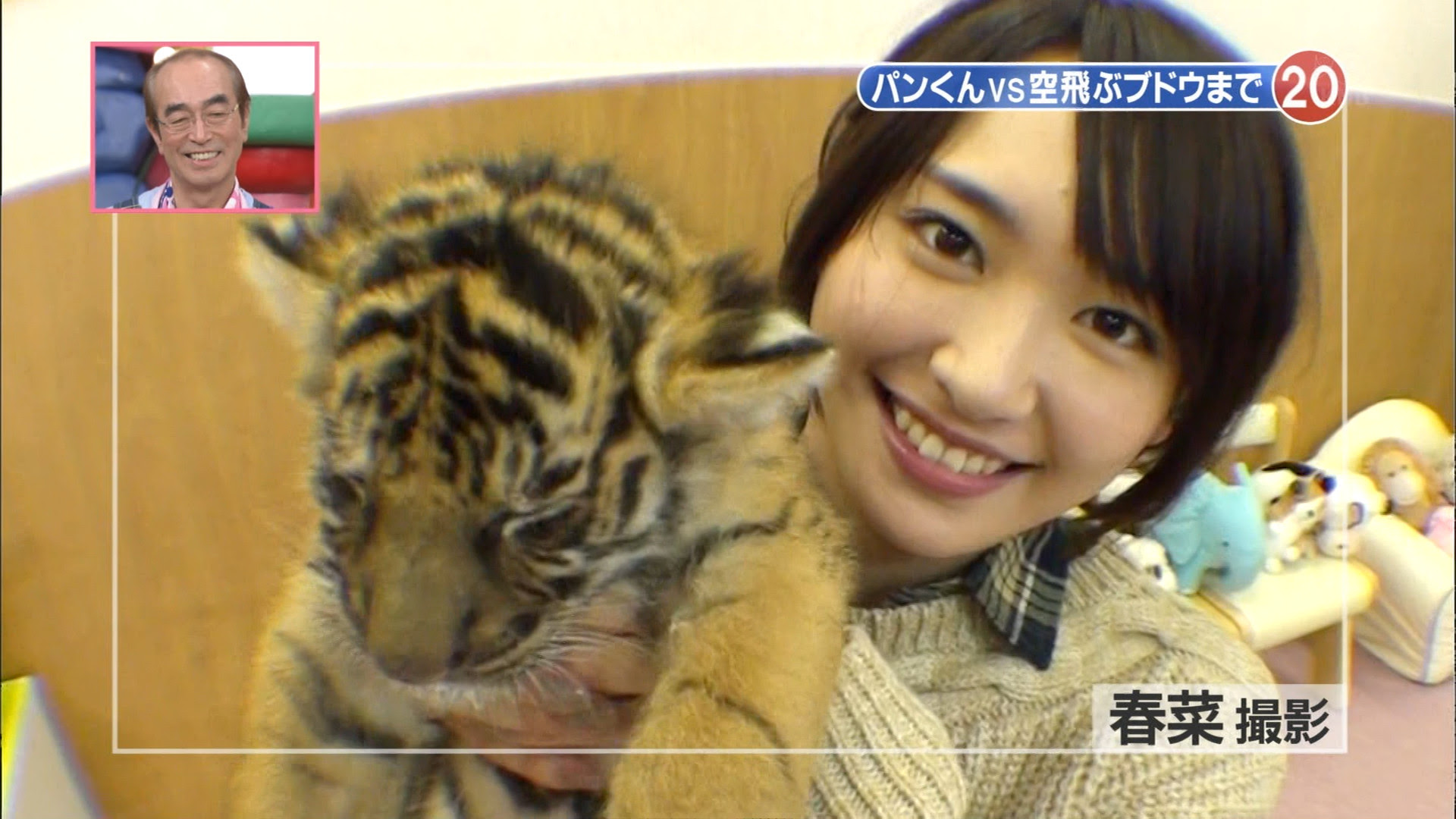 天才 志村どうぶつ園 の新垣結衣さん 玩具箱