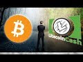 Anyone Make Money Bitcoin Mining