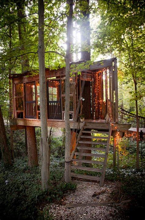 Diynetwork.com experts discuss how healthy roots and cultivating the surrounding soil are keys to success in planting a new tree. Peter Bahouthâs Treehouses | Home Design, Garden
