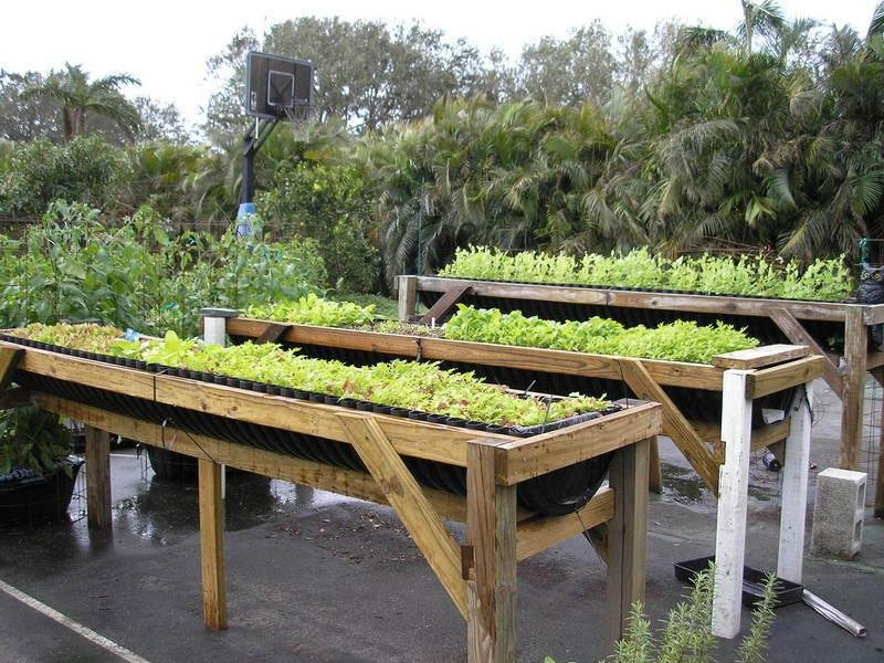Raised Herb Garden Design Photograph Most Productive Herb