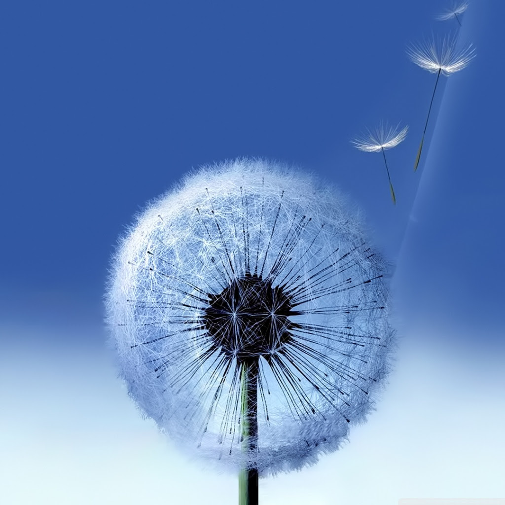 Galaxy S3 ❤ 4K HD Desktop Wallpaper for 4K Ultra HD TV • Wide